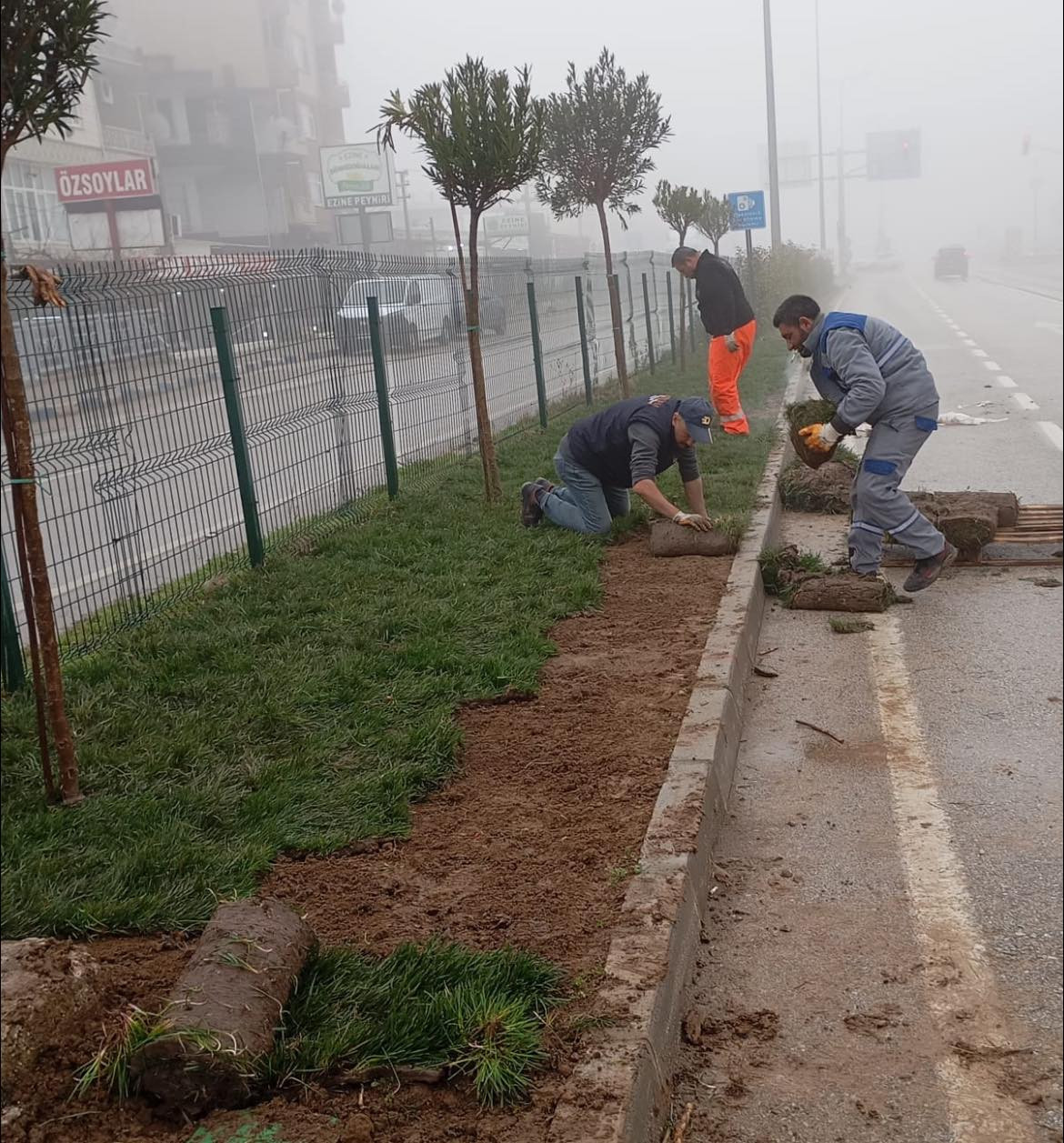 Ezine Ali Saim Kayaalp Bulvarı Peyzaj Çalışmaları